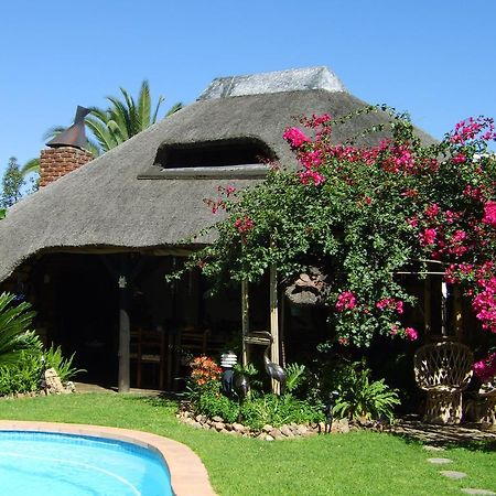 African Kwela Guest House Windhoek Kültér fotó